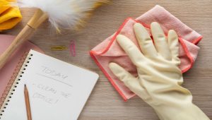 Read more about the article Free Printable Cleaning Checklist PDF & Google Docs